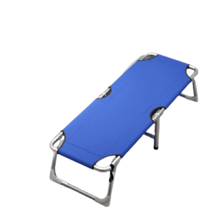 Visbed