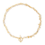 Citrien chips ketting