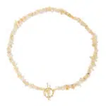 Citrien chips ketting