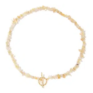 Citrien chips ketting
