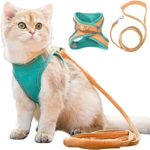 Veilige en Beveiligde Katten Tuigje en Lijn Set | Riem en harnas | Katten, riem en accesoires, wandelen | Huisdierentempel